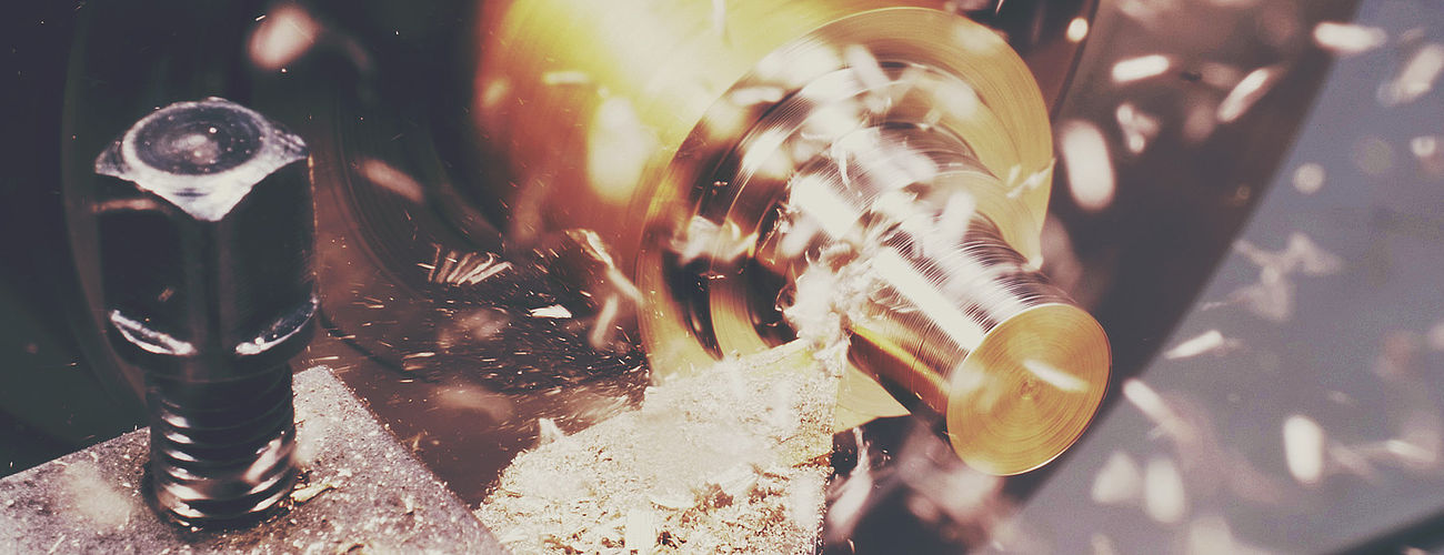 erfolgsgeschichten-radica